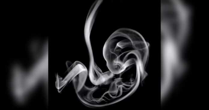 A primeira coisa que você vê nesta imagem revela se você tem “necessidade de aprovação” ou “não troca sua paz por nada”