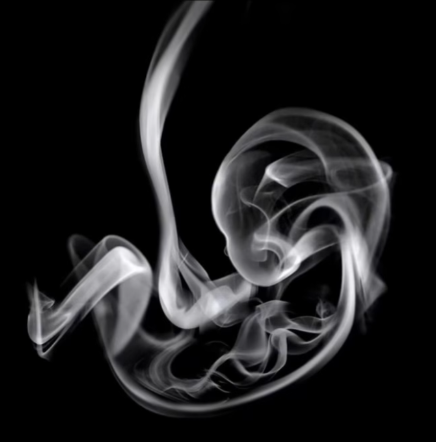 sabiaspalavras.com - A primeira coisa que voc&ecirc; v&ecirc; nesta imagem revela se voc&ecirc; tem &ldquo;necessidade de aprova&ccedil;&atilde;o&rdquo; ou &ldquo;n&atilde;o troca sua paz por nada&rdquo;