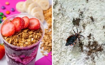 sabiaspalavras.com - S&aacute;bias Palavras