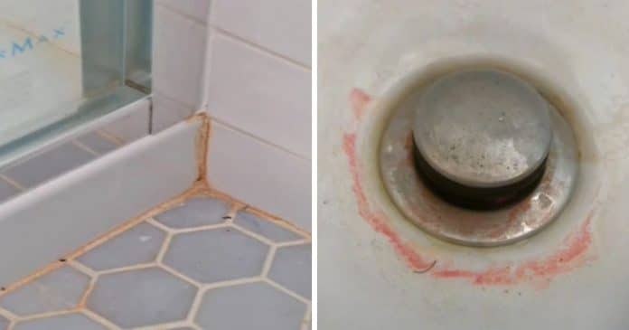 Encontrou essa gosma rosa nojenta no seu banheiro? Veja por que você não deve ignorá-la