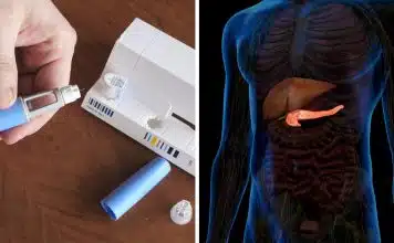 sabiaspalavras.com - S&aacute;bias Palavras