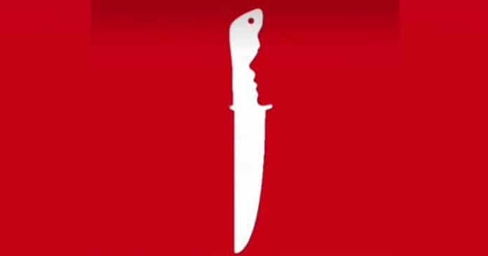 Esse teste visual está intrigando a internet: o que você viu primeiro revela se você “adapta bem às mudanças” ou “vive refletindo sobre a vida”