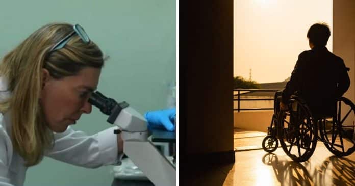 Graças à cientista brasileira, 6 paraplégicos ‘voltaram a andar’ com novo tratamento que teve quase 30 anos de pesquisa