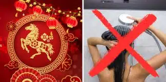 sabiaspalavras.com - S&aacute;bias Palavras