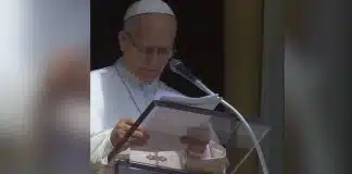 sabiaspalavras.com - S&aacute;bias Palavras