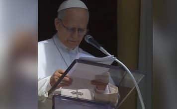 sabiaspalavras.com - S&aacute;bias Palavras