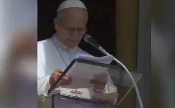 sabiaspalavras.com - S&aacute;bias Palavras