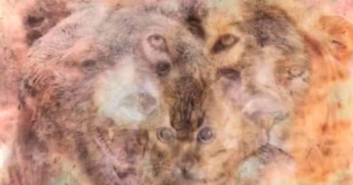 teste-visual-intrigante-o-primeiro-animal-que-voce-enxerga-revela-um-espelho-da-sua-verdadeira-personalidade Teste visual intrigante: o primeiro animal que você enxerga revela um espelho da sua verdadeira personalidade