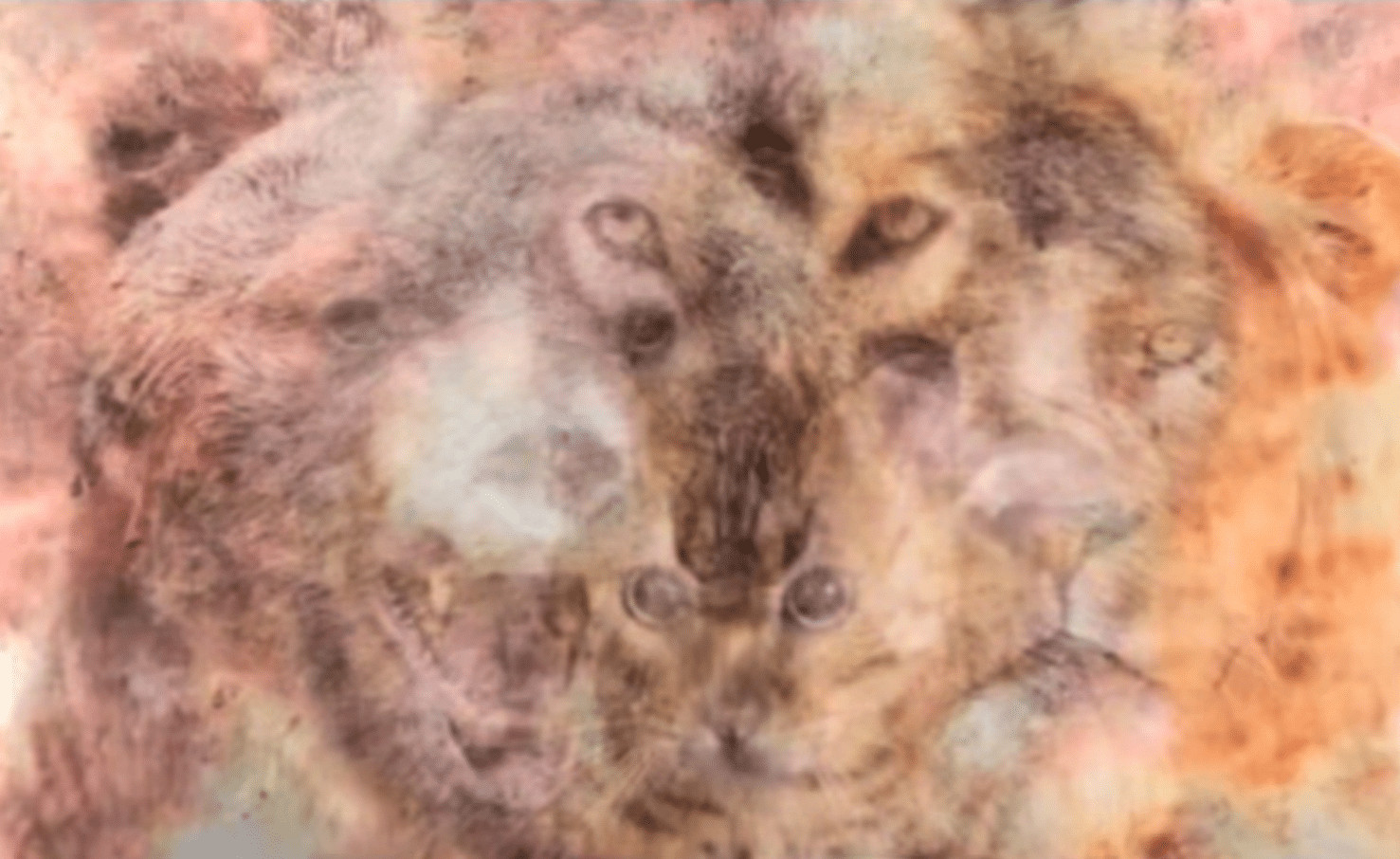 sabiaspalavras.com - Teste visual intrigante: o primeiro animal que voc&ecirc; enxerga revela um espelho da sua verdadeira personalidade