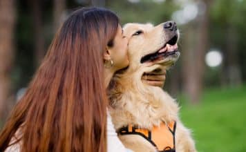 sabiaspalavras.com - S&aacute;bias Palavras