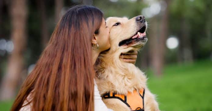 7 Erros de carinho que todo tutor comete (e o pet detesta)