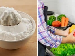 ADEUS, AGROTÓXICOS: Truque simples pode eliminar até 99% dos pesticidas das frutas e verduras, afirma estudo