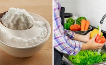 sabiaspalavras.com - S&aacute;bias Palavras