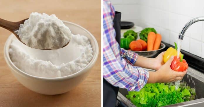 ADEUS, AGROTÓXICOS: Truque simples pode eliminar até 99% dos pesticidas das frutas e verduras, afirma estudo