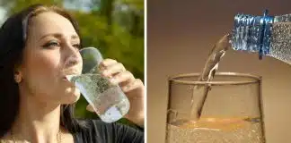 sabiaspalavras.com - S&aacute;bias Palavras