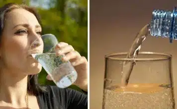 sabiaspalavras.com - S&aacute;bias Palavras