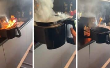 sabiaspalavras.com - S&aacute;bias Palavras