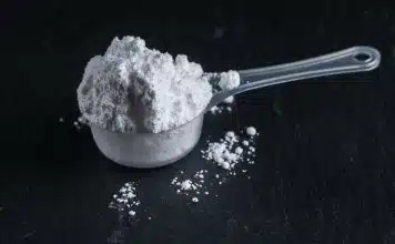 sabiaspalavras.com - S&aacute;bias Palavras