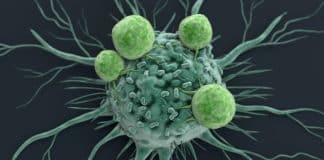 Cientistas criam molécula que pode “matar de fome” o câncer — entenda como isso funciona