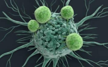 sabiaspalavras.com - S&aacute;bias Palavras