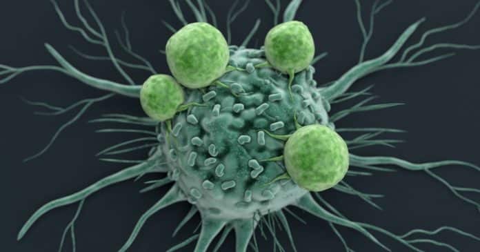 cientistas-criam-molecula-que-pode-matar-de-fome-o-cancer-entenda-como-isso-funciona Cientistas criam molécula que pode “matar de fome” o câncer — entenda como isso funciona