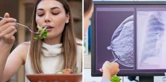 sabiaspalavras.com - S&aacute;bias Palavras