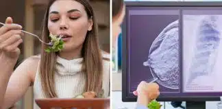 sabiaspalavras.com - S&aacute;bias Palavras