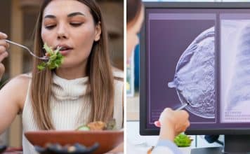 sabiaspalavras.com - S&aacute;bias Palavras