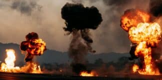 sabiaspalavras.com - S&aacute;bias Palavras