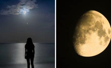 sabiaspalavras.com - S&aacute;bias Palavras