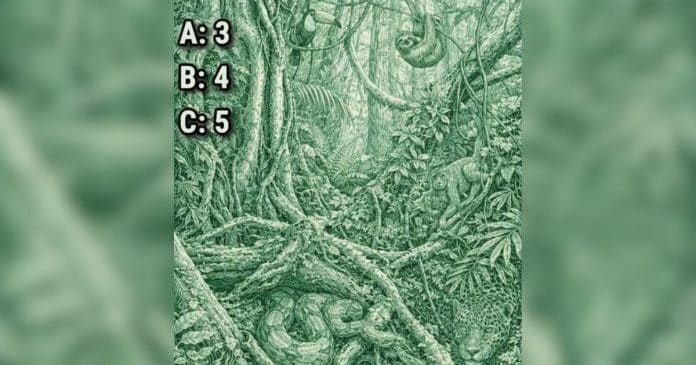 Este teste visual está intrigando a internet: O número de animais que você vê pode determinar se você é narcisista?