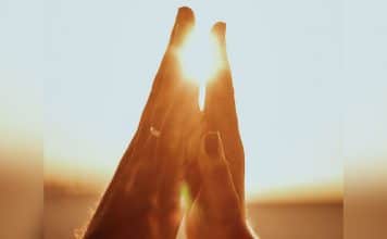 sabiaspalavras.com - S&aacute;bias Palavras