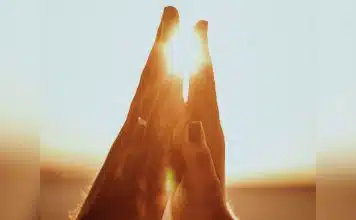 sabiaspalavras.com - S&aacute;bias Palavras