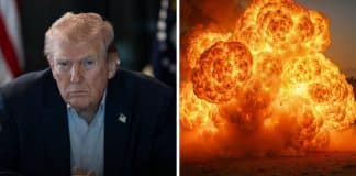 sabiaspalavras.com - S&aacute;bias Palavras