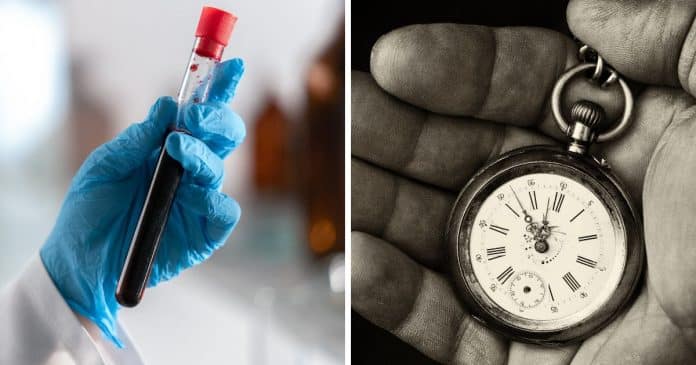 Exame de sangue pode prever quanto tempo um idoso ainda vai viver, aponta estudo científico