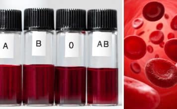 sabiaspalavras.com - S&aacute;bias Palavras