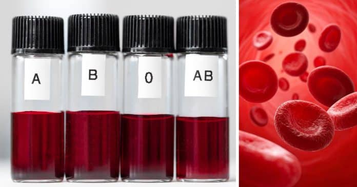 Existe tipo sanguíneo melhor? A verdade surpreendente – incluindo quem tem maior risco de câncer, norovírus e picadas de insetos