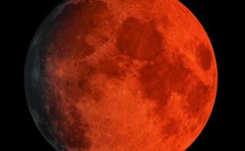 sabiaspalavras.com - S&aacute;bias Palavras