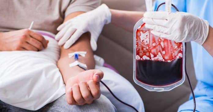 Mudança nas regras sobre transfusões de sangue para Testemunhas de Jeová gera debates intensos em todo o mundo