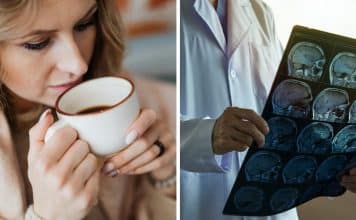 sabiaspalavras.com - S&aacute;bias Palavras