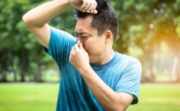 sabiaspalavras.com - S&aacute;bias Palavras