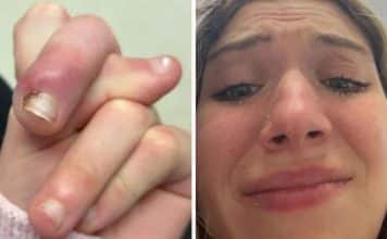 sabiaspalavras.com - S&aacute;bias Palavras