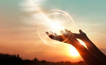 sabiaspalavras.com - S&aacute;bias Palavras