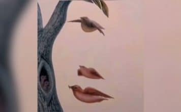 sabiaspalavras.com - S&aacute;bias Palavras