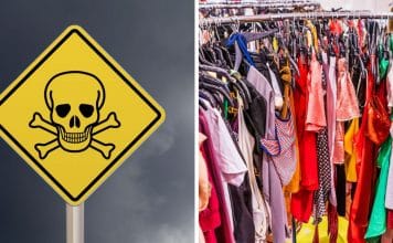 sabiaspalavras.com - S&aacute;bias Palavras