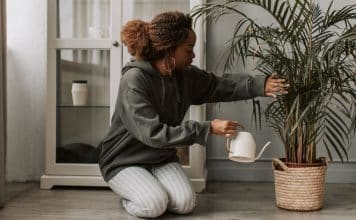 sabiaspalavras.com - S&aacute;bias Palavras