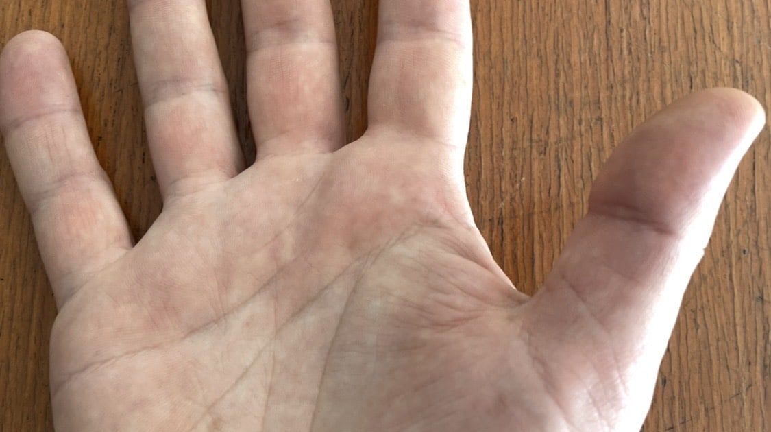 Palm order – spvsousa@gmail.com