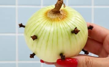 sabiaspalavras.com - S&aacute;bias Palavras