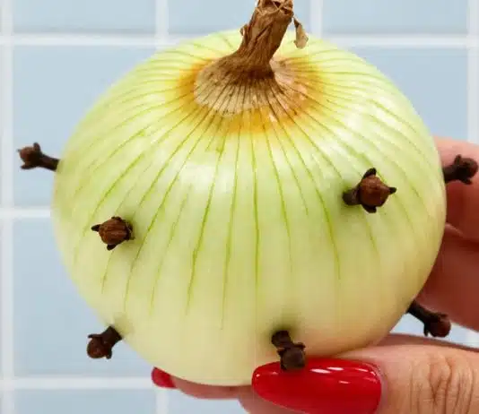 Cebola com cravos: o truque simples que sua avó talvez já conhecesse