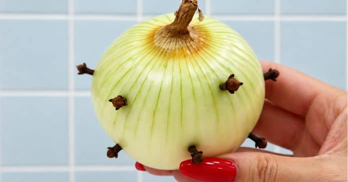Cebola com cravos: o truque simples que sua avó talvez já conhecesse